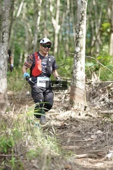 Runner Photo 2658204