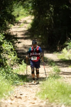 Runner Photo 2659914