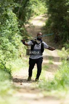 Runner Photo 2659933