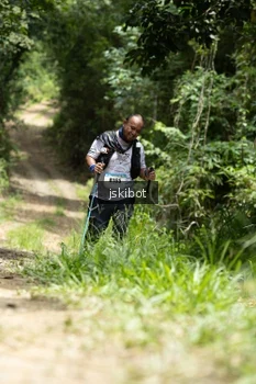 Runner Photo 2659936