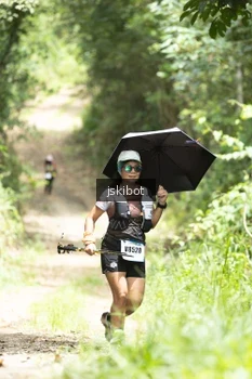Runner Photo 2659955