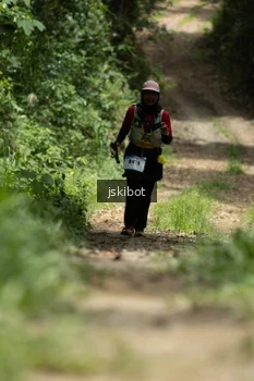 Runner Photo 2659964
