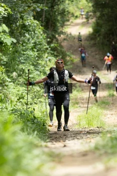 Runner Photo 2659984
