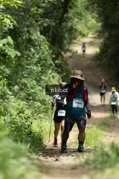 Runner Photo 2660001