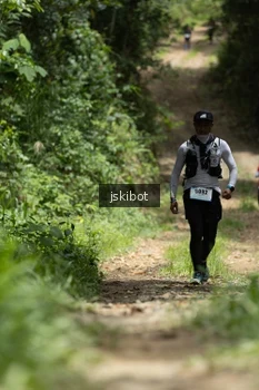 Runner Photo 2660022