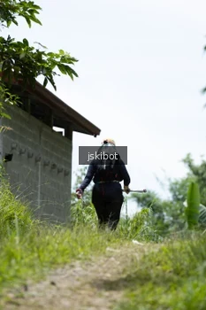 Runner Photo 2660075