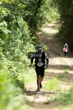 Runner Photo 2660076