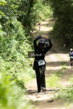 Runner Photo 2660087