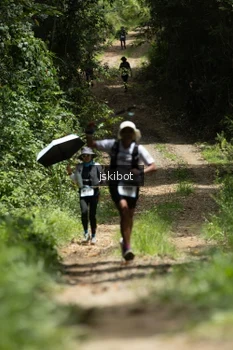Runner Photo 2660140