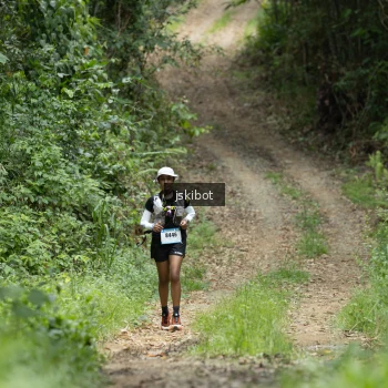 Runner Photo 2660199