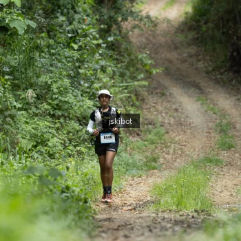 Runner Photo 2660200
