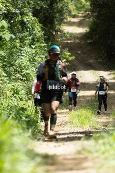 Runner Photo 2660209