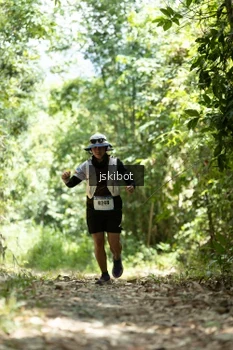 Runner Photo 2660236