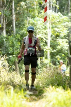 Runner Photo 2660269