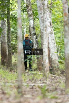 Runner Photo 2660315