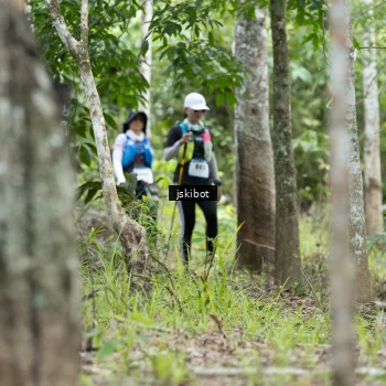 Runner Photo 2660333