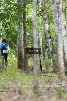 Runner Photo 2660334