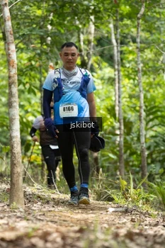 Runner Photo 2660382