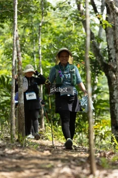 Runner Photo 2660502