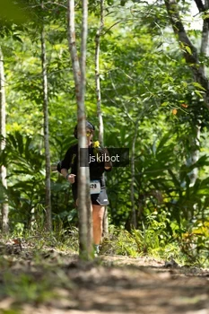 Runner Photo 2660527