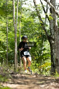 Runner Photo 2660529