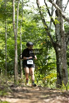Runner Photo 2660530