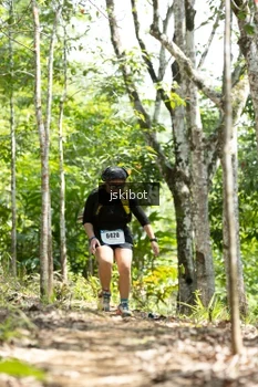 Runner Photo 2660532