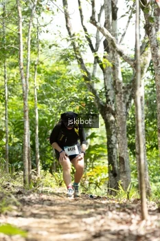 Runner Photo 2660533
