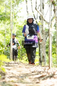 Runner Photo 2660552
