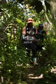 Runner Photo 2660563