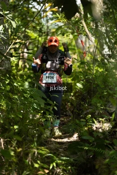 Runner Photo 2660564