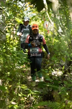 Runner Photo 2660565