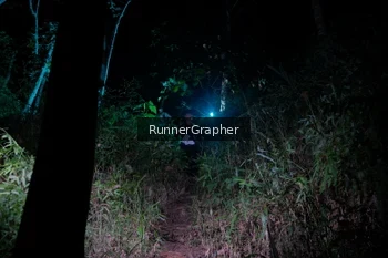 Runner Photo 2669297