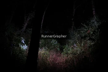 Runner Photo 2669334