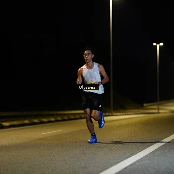 Runner Photo 2725086