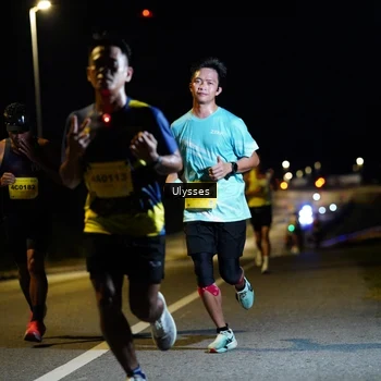 Runner Photo 2727076