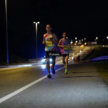 Runner Photo 2727715