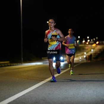 Runner Photo 2727748