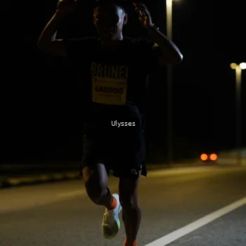Runner Photo 2727973