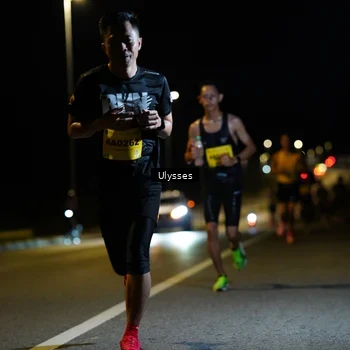 Runner Photo 2729244
