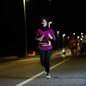 Runner Photo 2729919