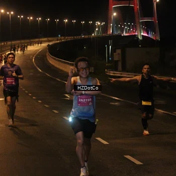 Runner Photo 2730081