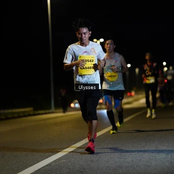 Runner Photo 2730205