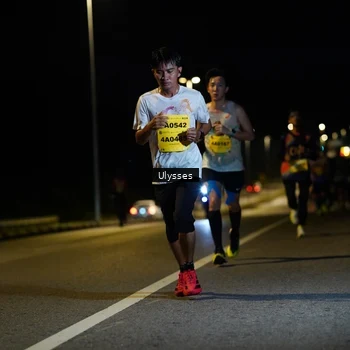 Runner Photo 2730250