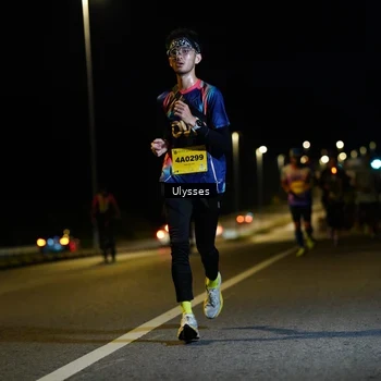 Runner Photo 2730447
