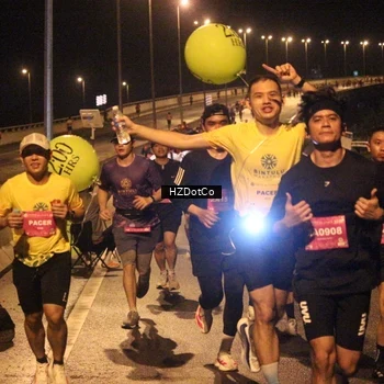 Runner Photo 2730897