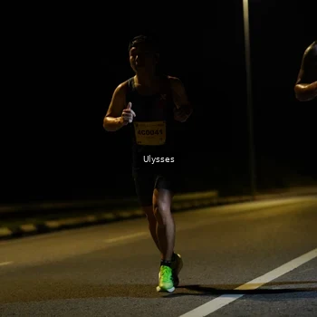 Runner Photo 2730902