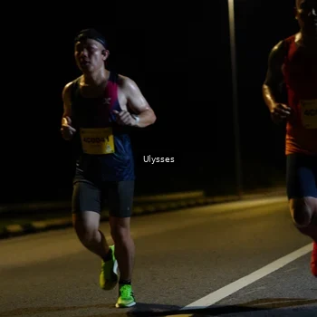Runner Photo 2730941