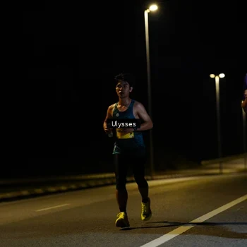 Runner Photo 2731089