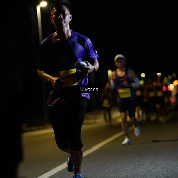 Runner Photo 2731137